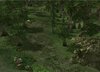 sc2 forest.jpg