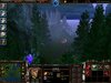 Wood1New.jpg