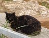 Streets of Chania V.jpg
