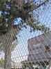 Fence.jpg Fence.jpg
