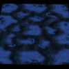 Mapmaking_SC1_SC2_Conversion_BGH_2.jpg Mapmaking_SC1_SC2_Conversion_BGH_2.jpg
