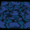 Mapmaking_SC1_SC2_Conversion_BGH_3.jpg Mapmaking_SC1_SC2_Conversion_BGH_3.jpg