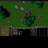 treedestorying.jpg