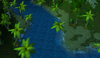 Jungle1.png