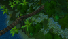 Jungle5.png