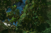 melee2.png