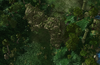 Melee7.png