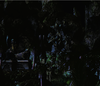 DarkTerrain.png