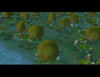 ScrnShot8.png