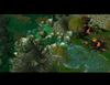 ScrnShot14.png