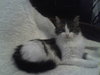 Picture 001.jpg
