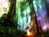 magical-forest_1024x786.jpg