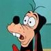 306467-wtf_goofy_icon.jpg