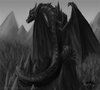 Earth_Dragon_by_ShadowDragon22 Black.jpg