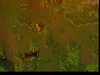 WC3ScrnShot_072510_161256_04.png