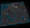Lycantrophy Grayworld map.jpg