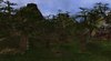 Jungle.JPG