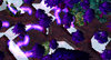 VerySpammy.jpg VerySpammy.jpg
