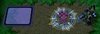 Region 2.jpg Region 2.jpg