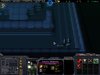 bug 1.JPG