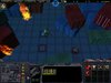 bug 7.JPG