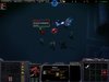 bug 2.JPG