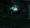 Terrain night forest1.jpg
