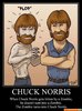 chuck-norris-zombie-bite.jpg