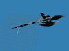 ms3d 2010-11-11 16-29-53-76.jpg