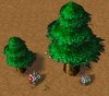 trees.jpg