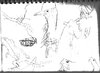 sketches.jpg