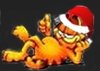 Garfield.jpg