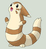 Furret_by_Ani_Monster.jpg