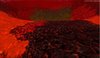 terrain11.jpg terrain11.jpg