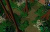 Silverspring Forest.jpg