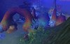 UnderWater3.jpg