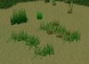 grass_example.jpg