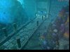 WC3ScrnShot_120710_161539_01.jpg