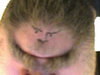 Face.jpg