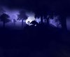 Lonely Wolf.jpg Lonely Wolf.jpg