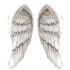 white_angel_wings-2270.jpg