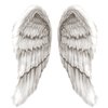 white_angel_wings-2270.jpg