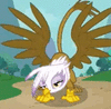 griffon 3.gif