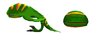 Frog-animal.jpg Frog-animal.jpg