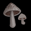 Mushrooms1.png