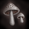 Mushrooms3.png