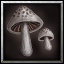 BTNMushrooms4.png