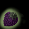 Berries1.png