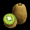 Kiwi.png