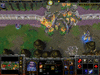 WC3ScrnShot_021511_160643_01.gif